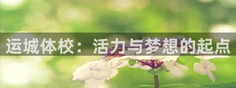 风速体育nba直播：运城体校：活力与梦想的起点