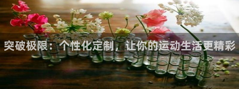 风速体育：突破极限：个性化定制，让你的运动生活更精彩