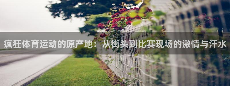 风速体育app：疯狂体育运动的原产地：从街头到比赛现场的激情与汗水
