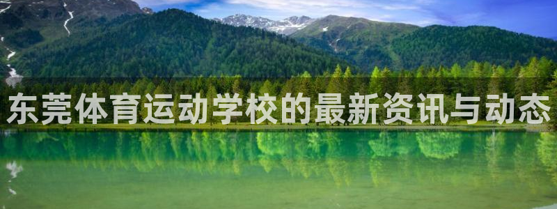风速体育app下载安装最新版本：东莞体育运动学校的最新资讯与动态
