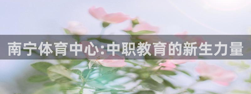 风速体育app下载安装最新版本：南宁体育中心:中职教育的新生力量