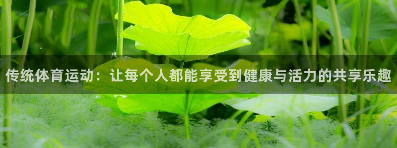 风速体育：传统体育运动：让每个人都能享受到健康与活力的共享乐趣