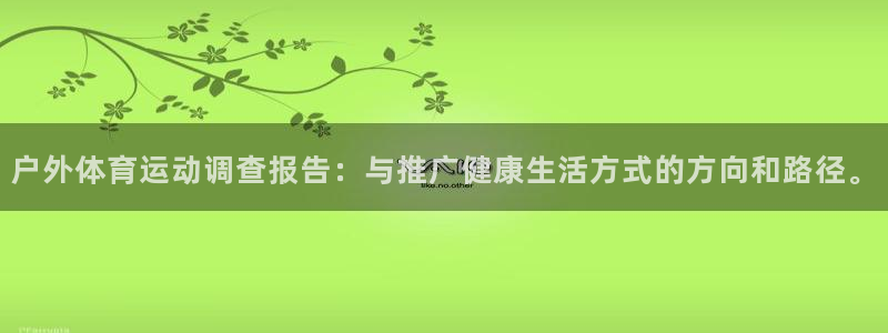 风速体育app官方下载：户外体育运动调查报告：与推广健康生活方式的方向和路径。