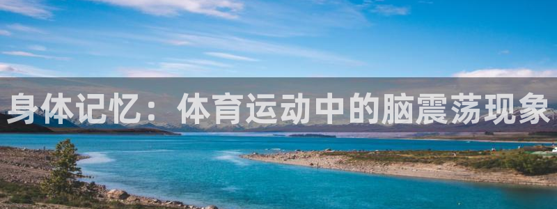 风速体育nba直播：身体记忆：体育运动中的脑震荡现象