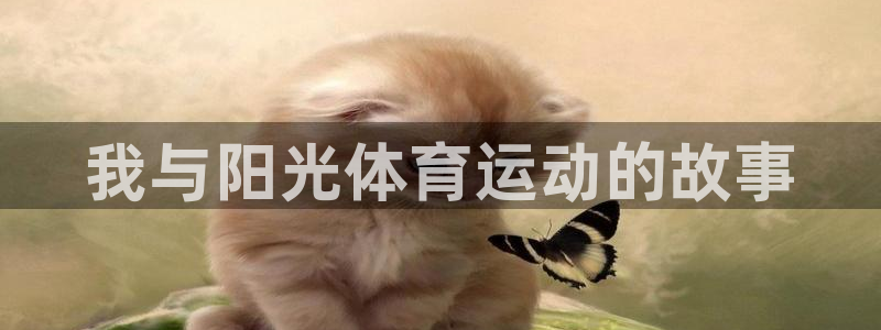 风速体育nba直播：我与阳光体育运动的故事