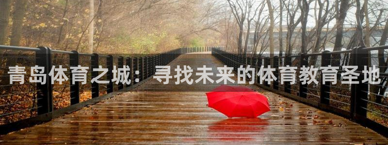 风速体育app下载官网最新版：青岛体育之城：寻找未来的体育教育圣地
