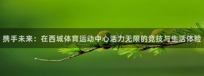 风速体育：携手未来：在西城体育运动中心活力无限的竞技与生活体验
