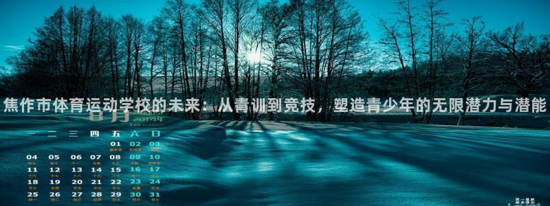风速体育nba免费直播：焦作市体育运动学校的未来：从青训到竞技，塑造青少年的无限潜力与潜能